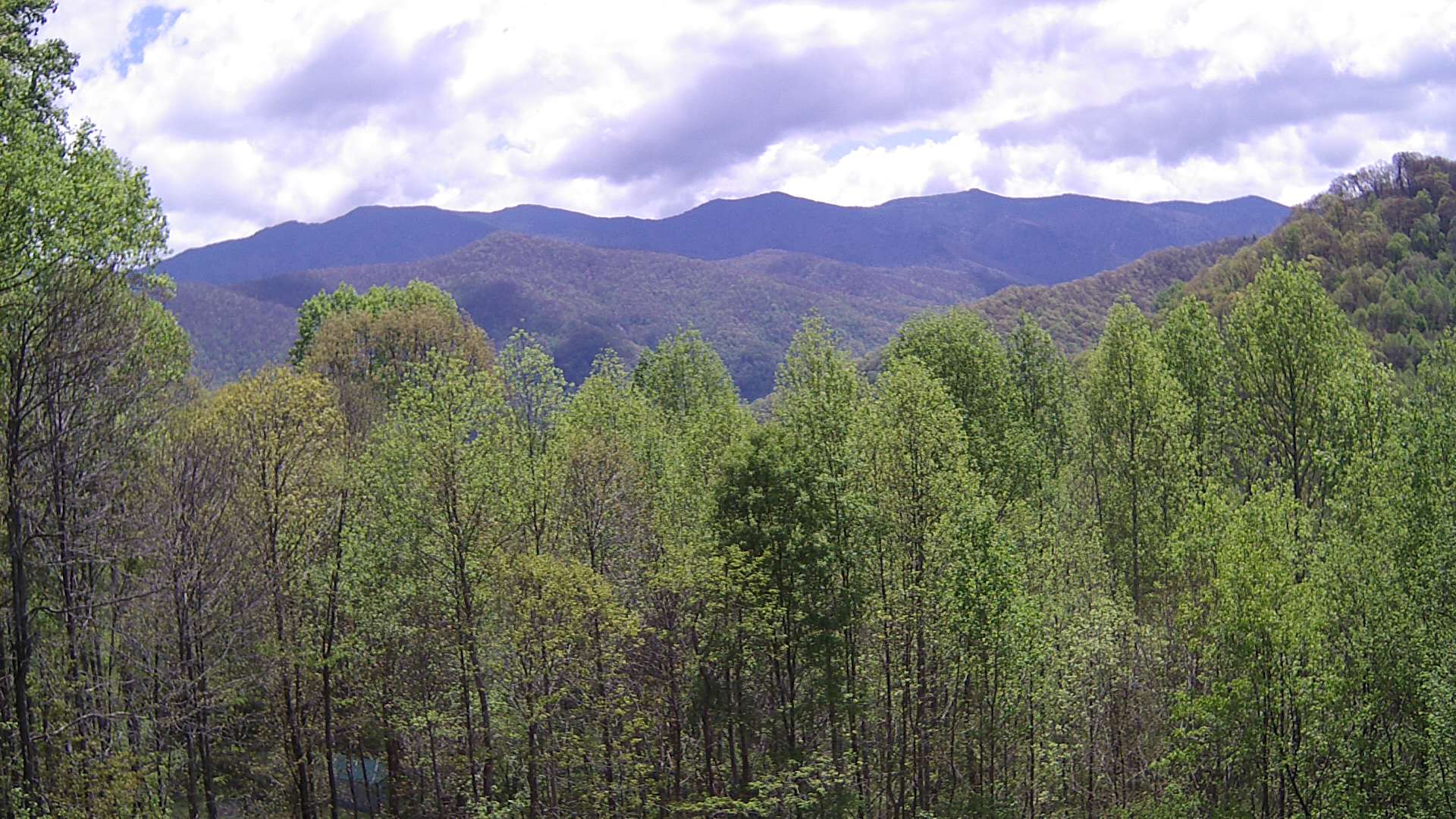 click for next image... slideshow image