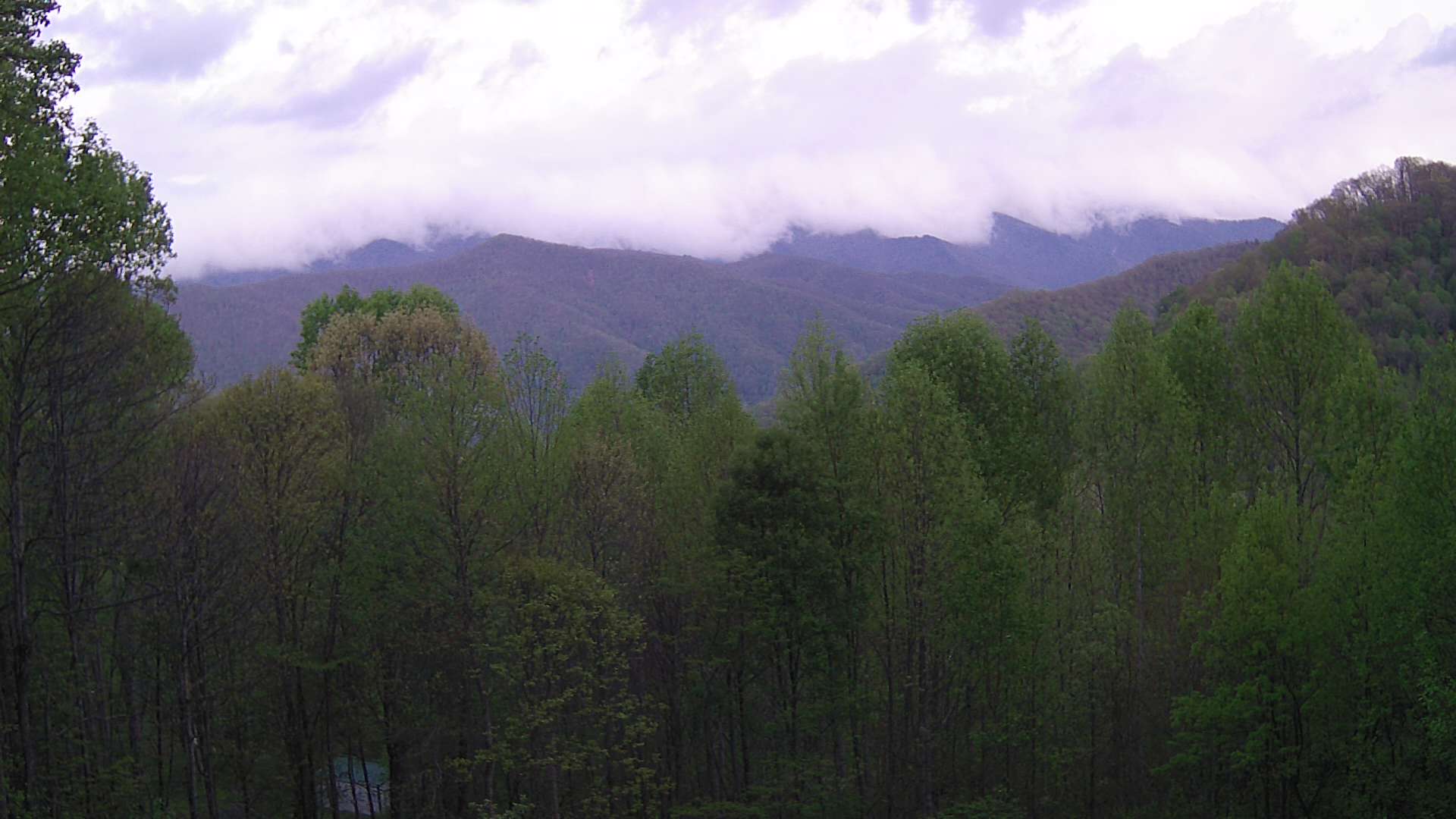 click for next image... slideshow image