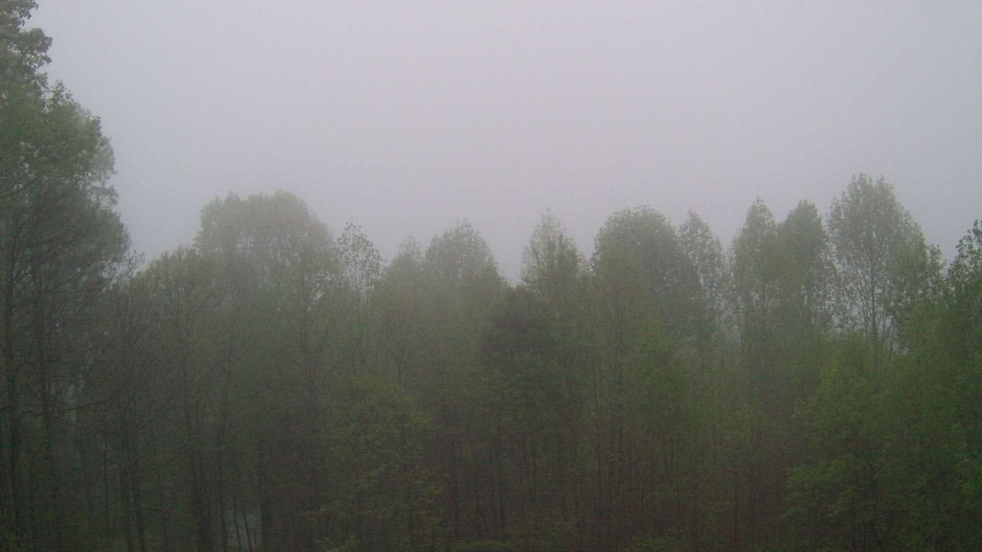click for next image... slideshow image