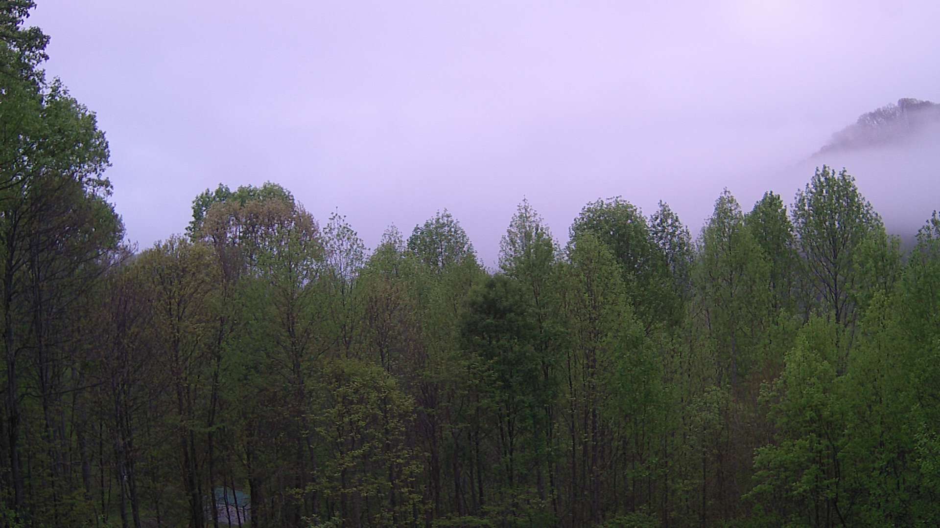 click for next image... slideshow image