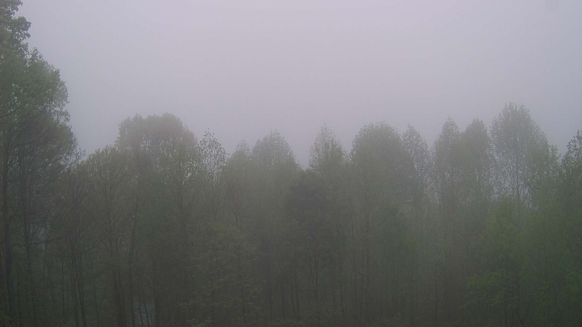 click for next image... slideshow image