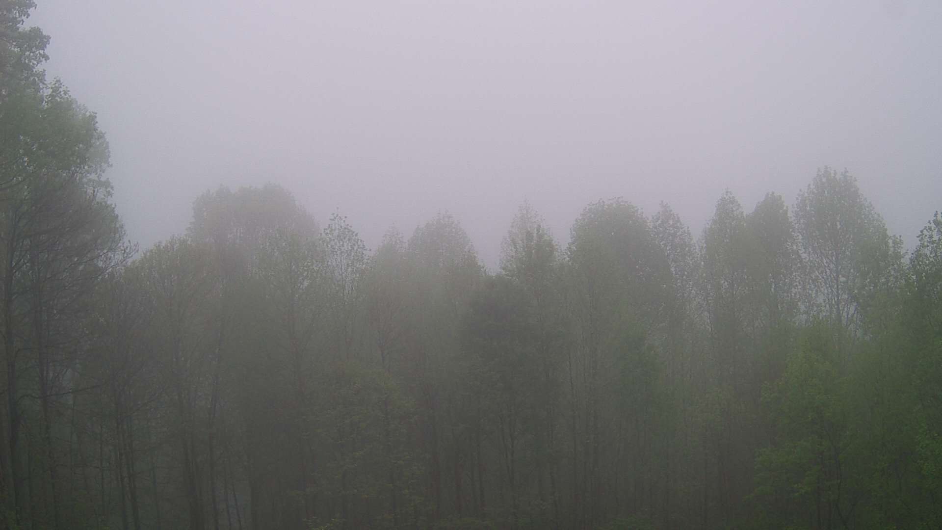 click for next image... slideshow image