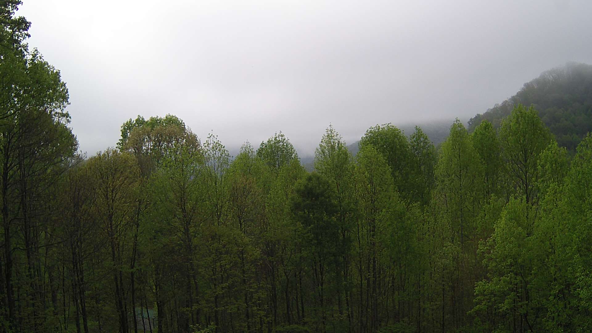 click for next image... slideshow image