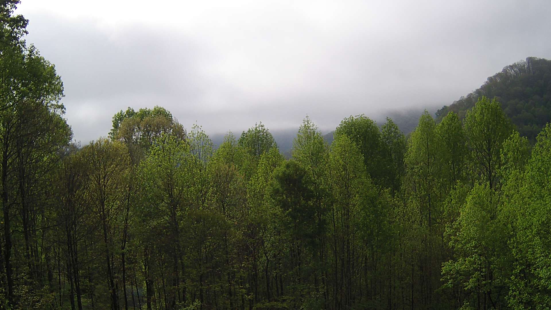 click for next image... slideshow image