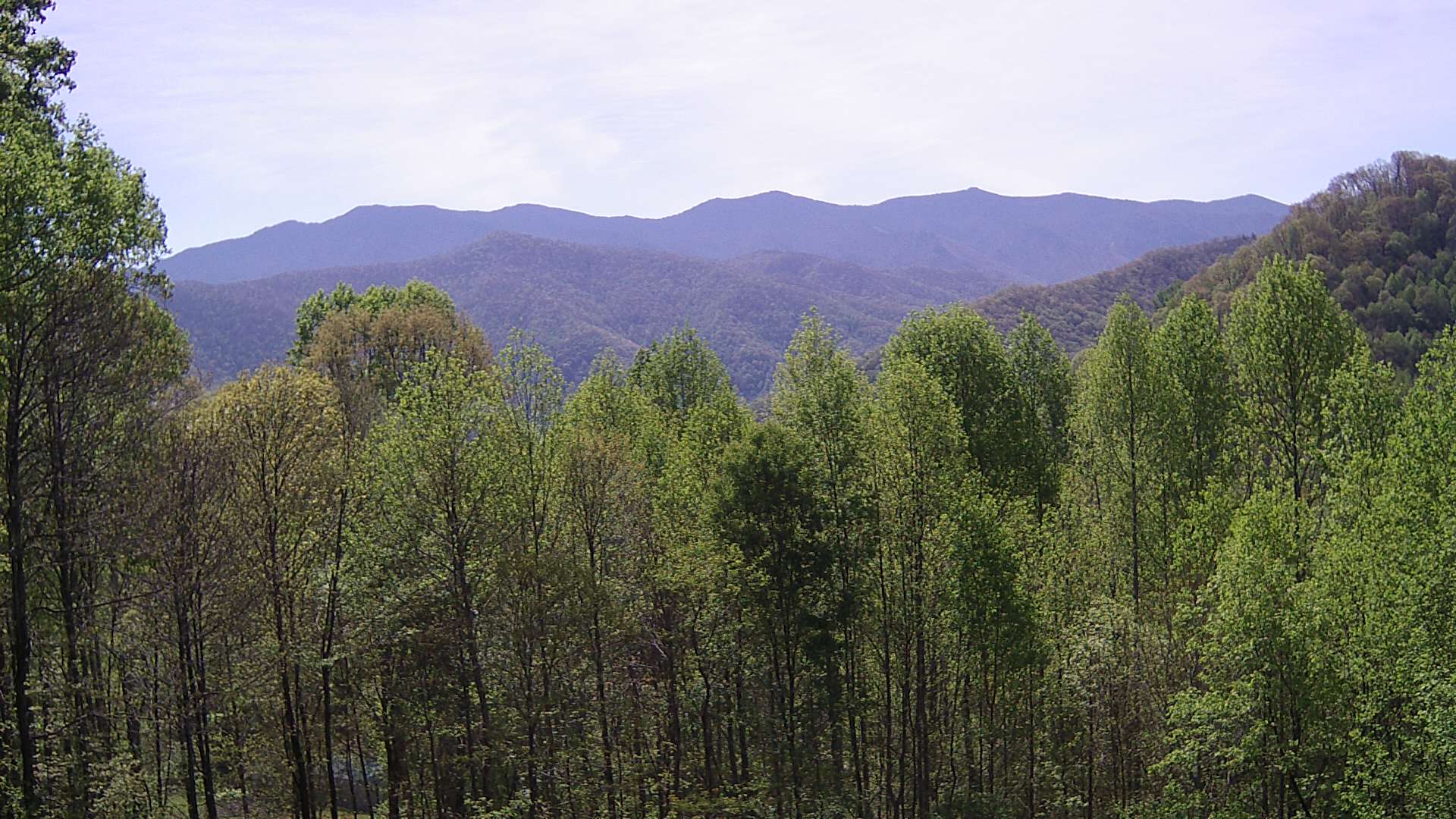 click for next image... slideshow image