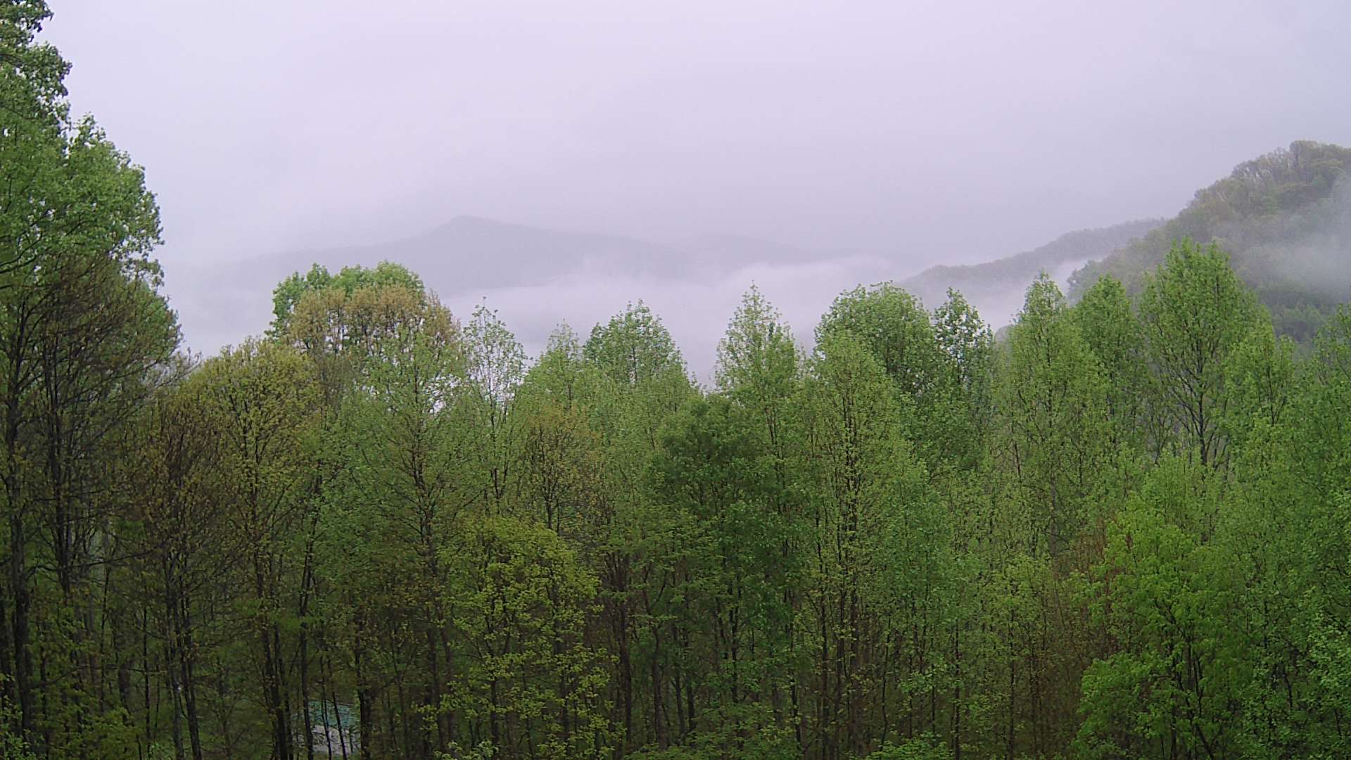 click for next image... slideshow image