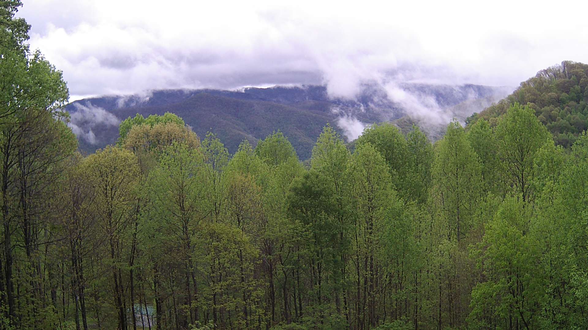 click for next image... slideshow image