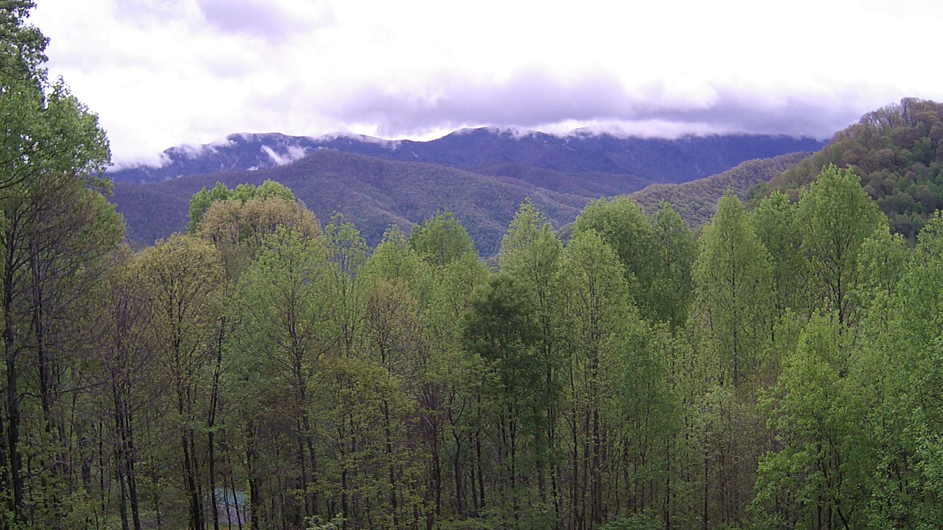 click for next image... slideshow image