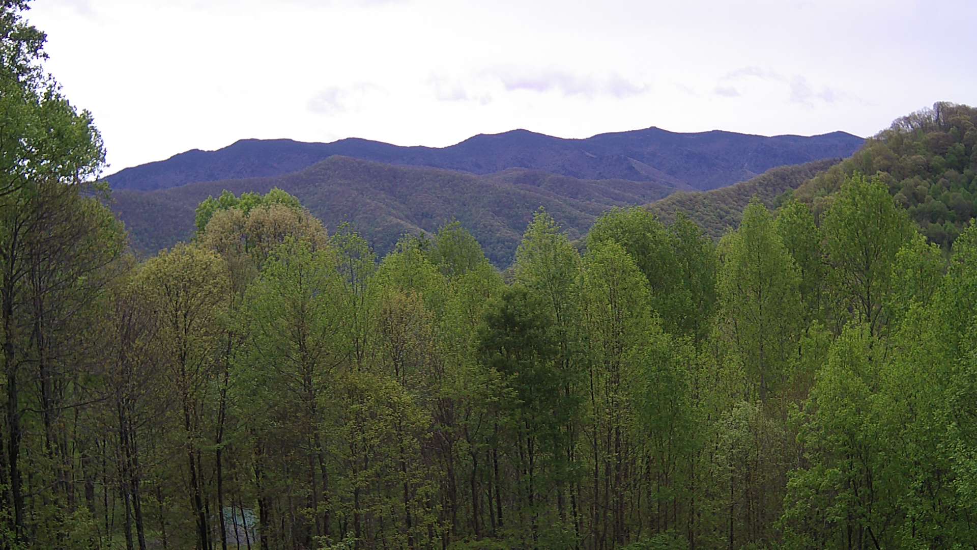 click for next image... slideshow image