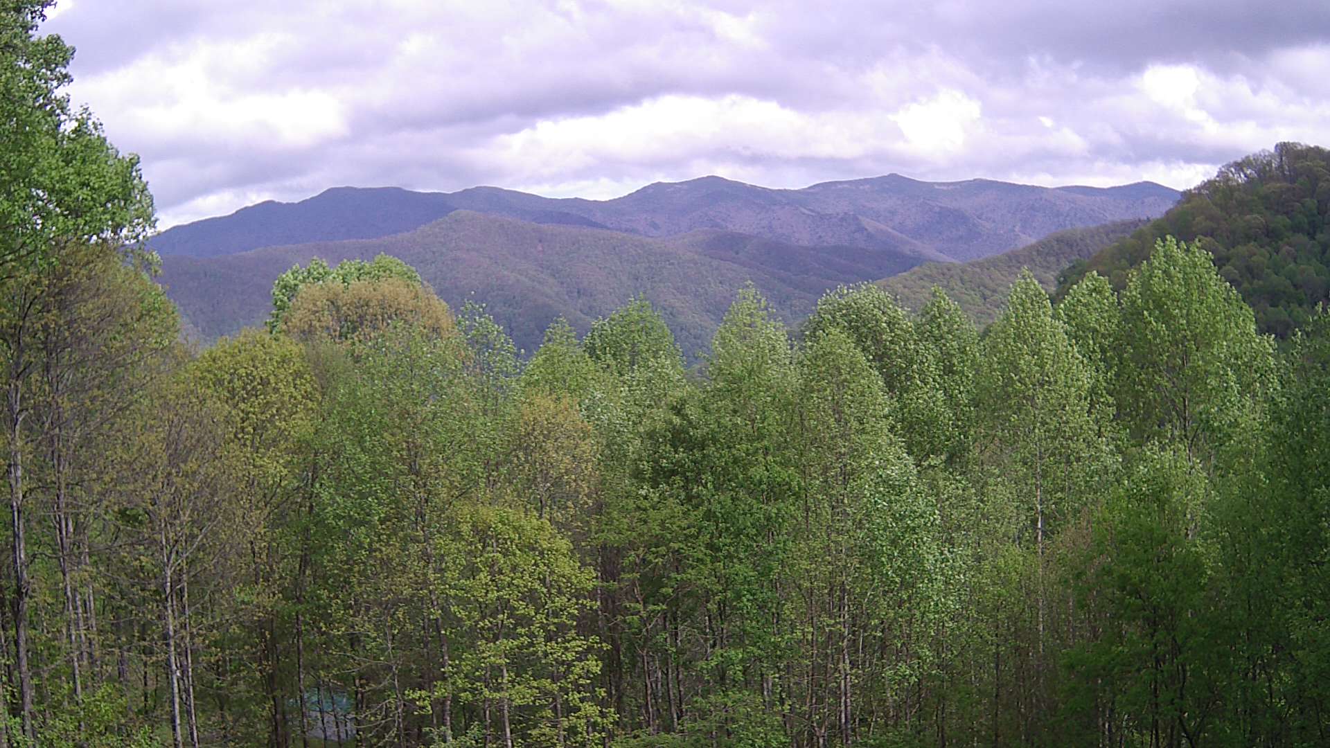 click for next image... slideshow image