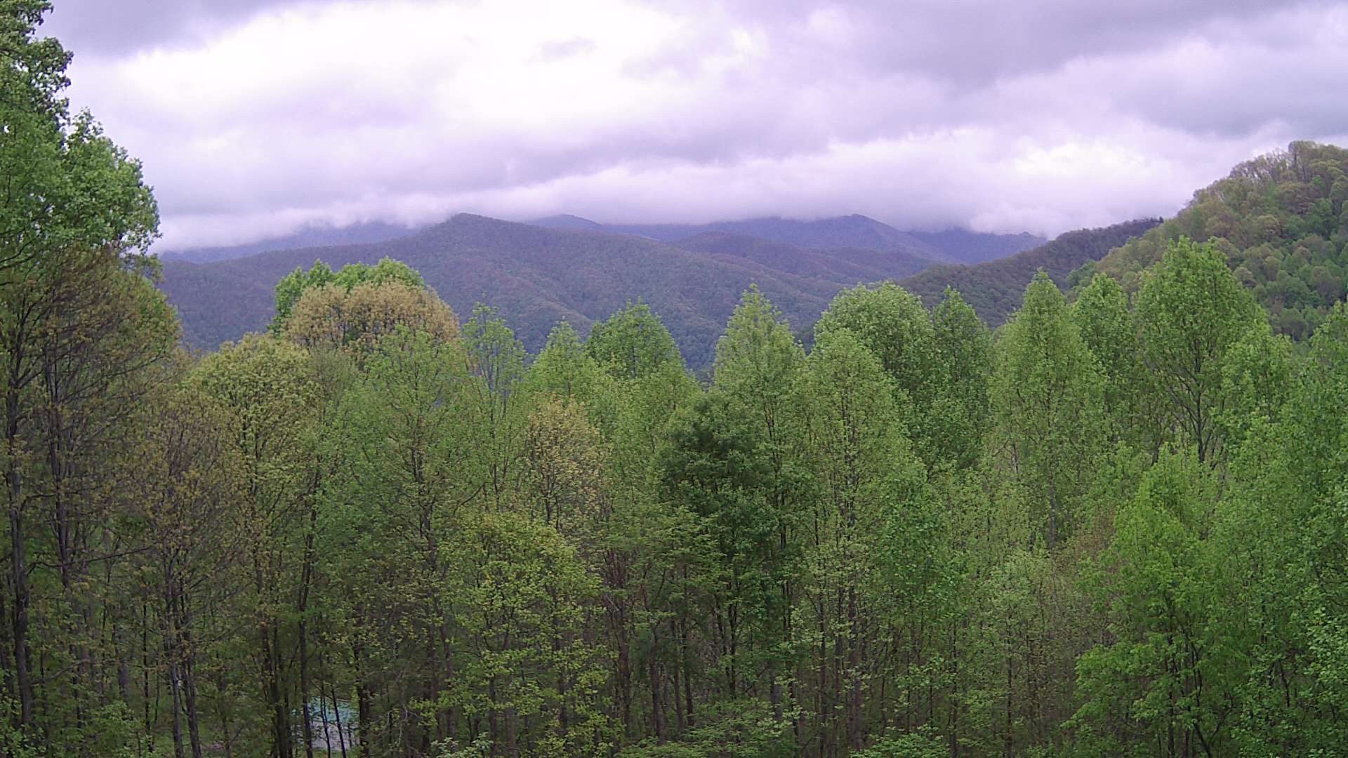 click for next image... slideshow image