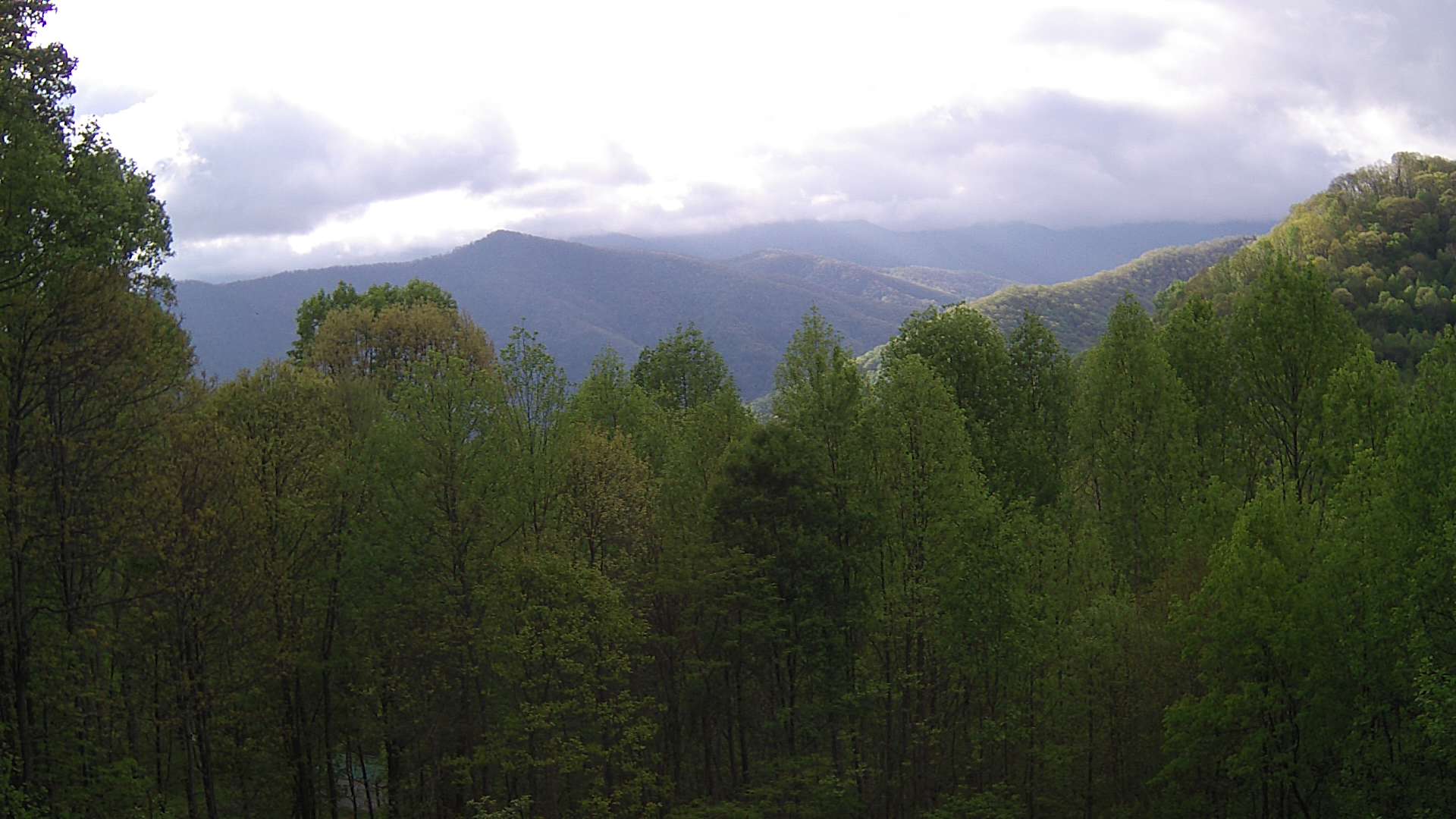click for next image... slideshow image