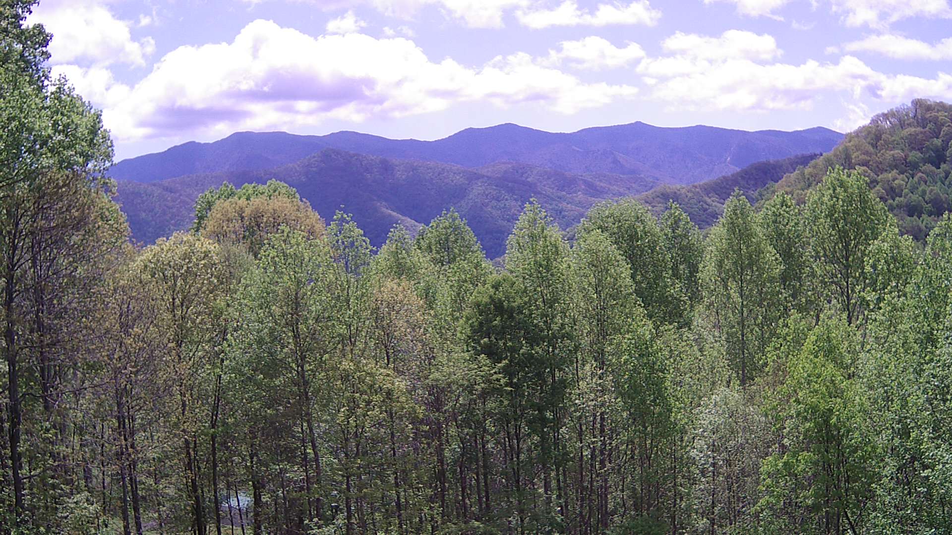 slideshow image
