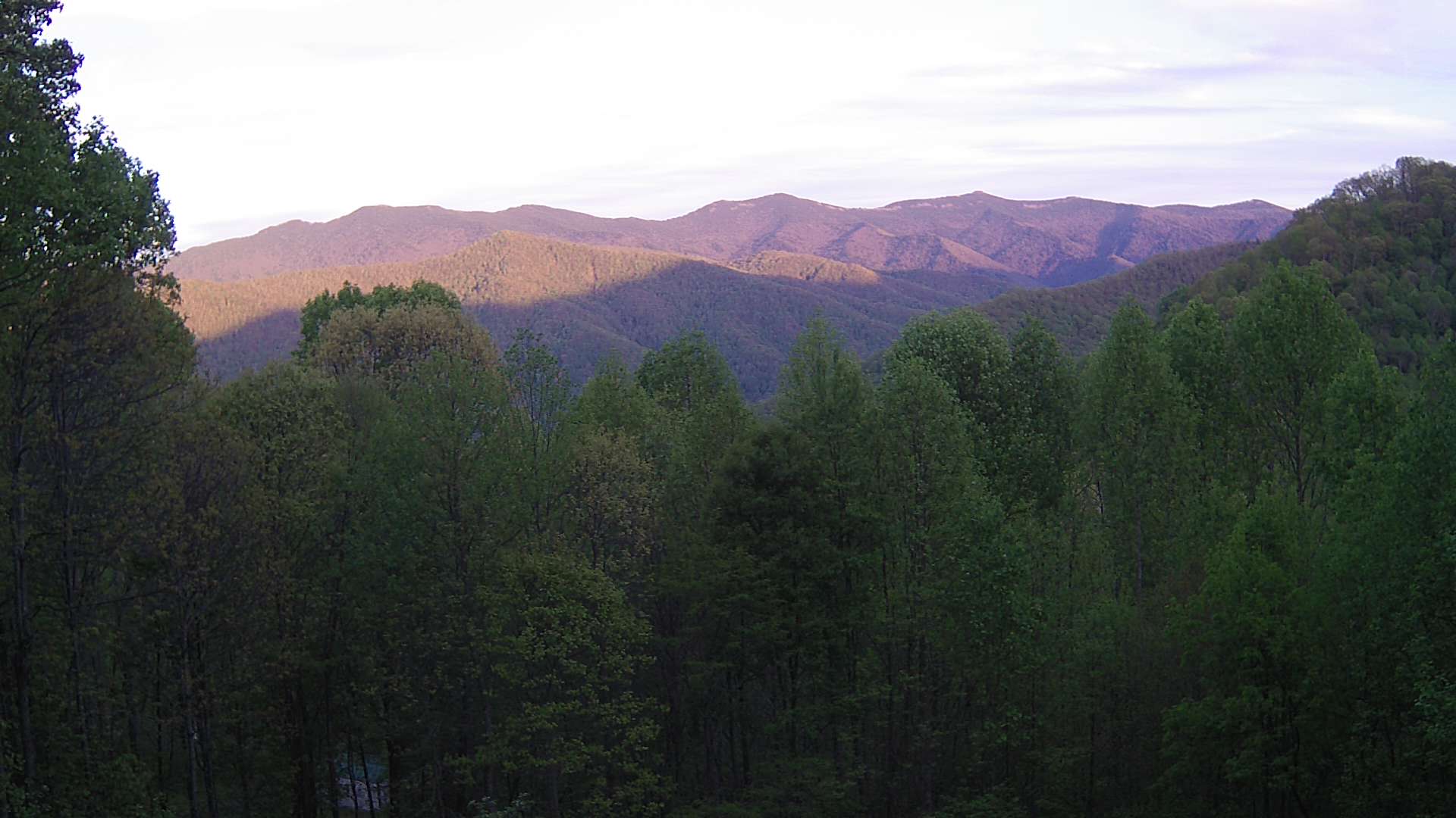 click for next image... slideshow image
