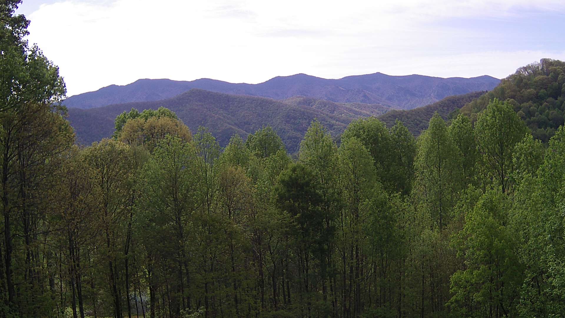 click for next image... slideshow image