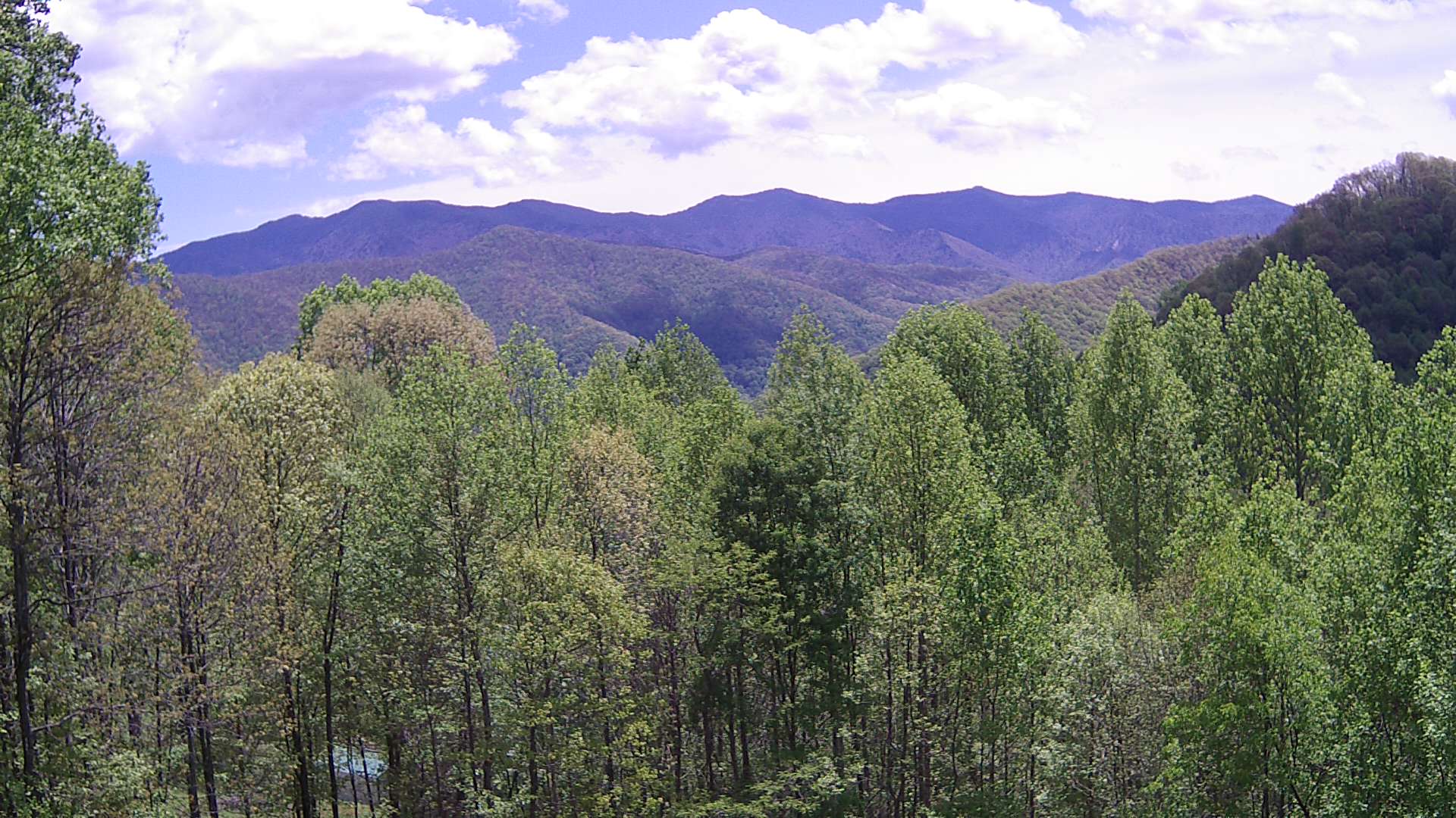 slideshow image