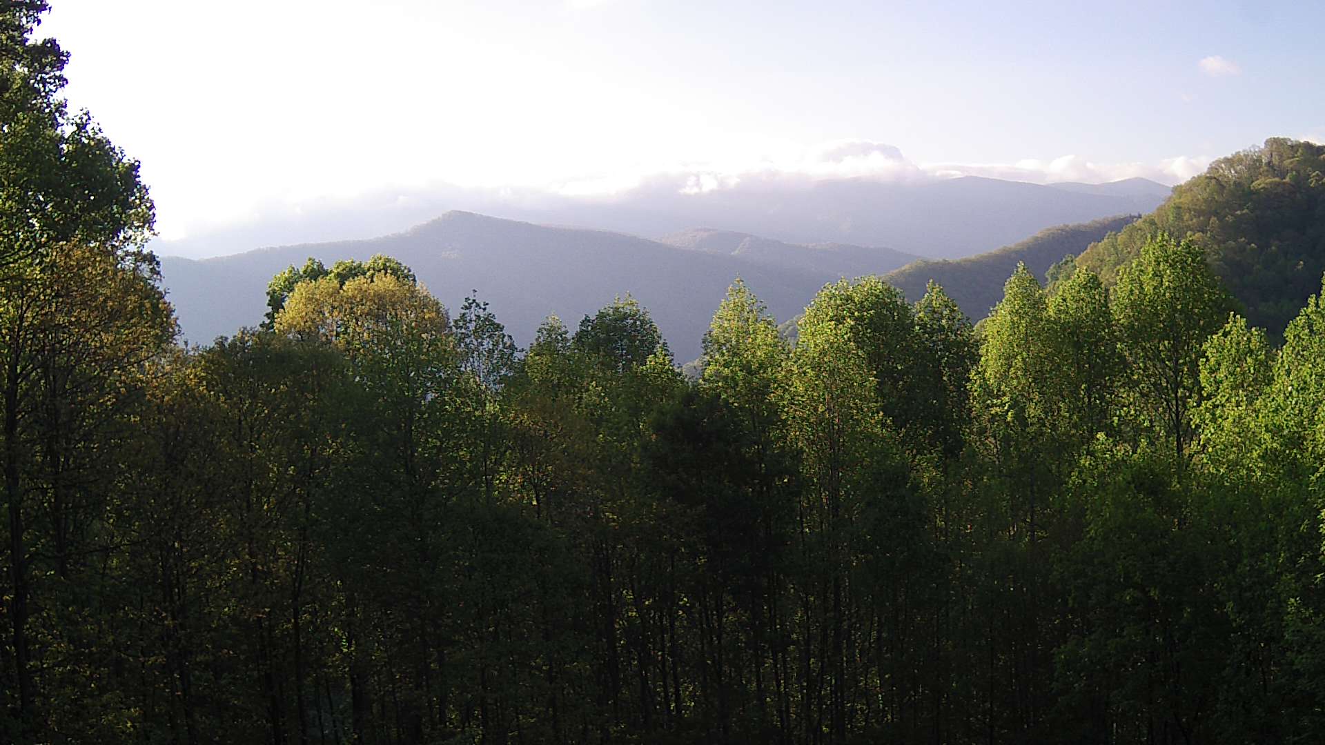 click for next image... slideshow image