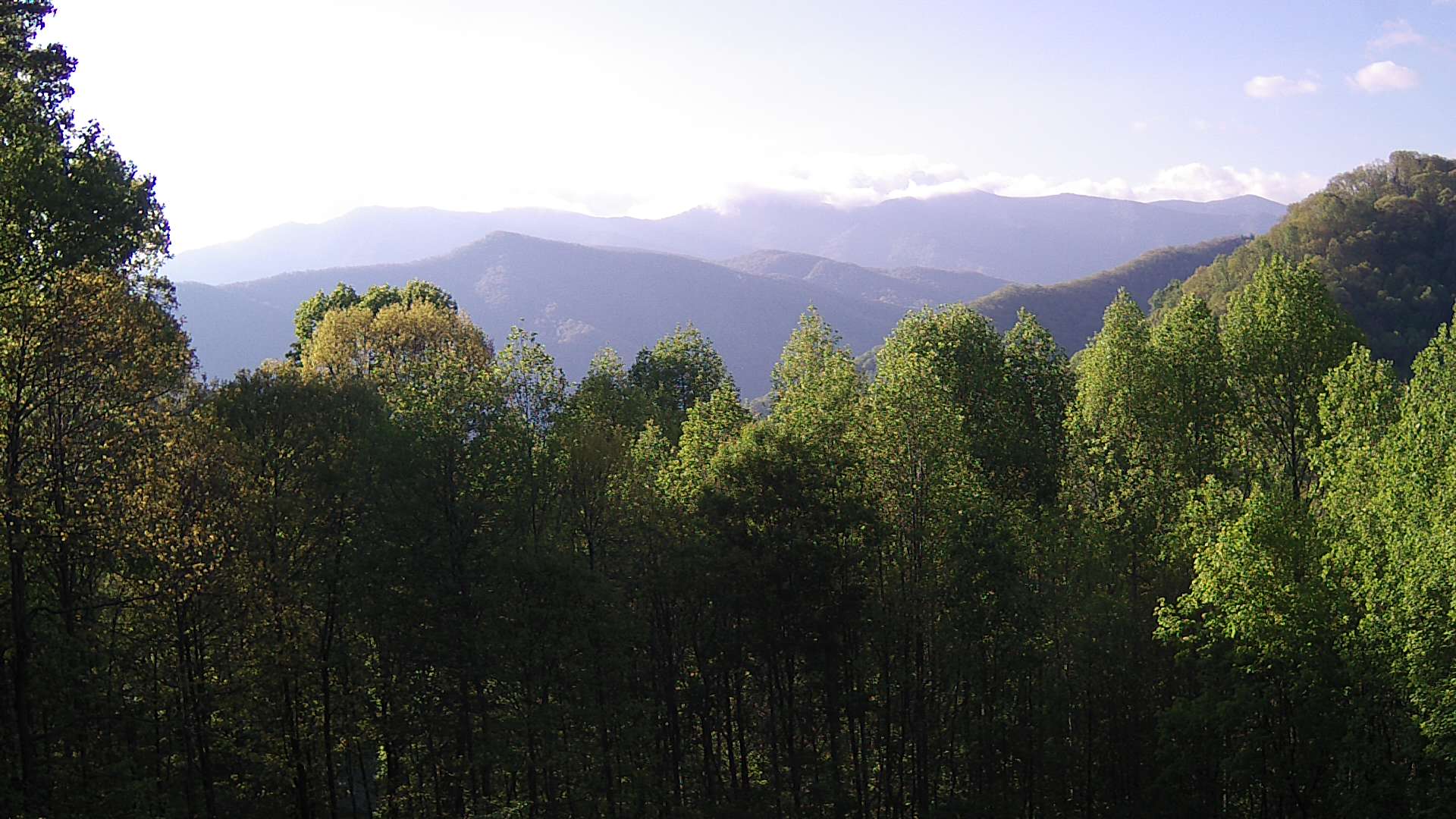 click for next image... slideshow image