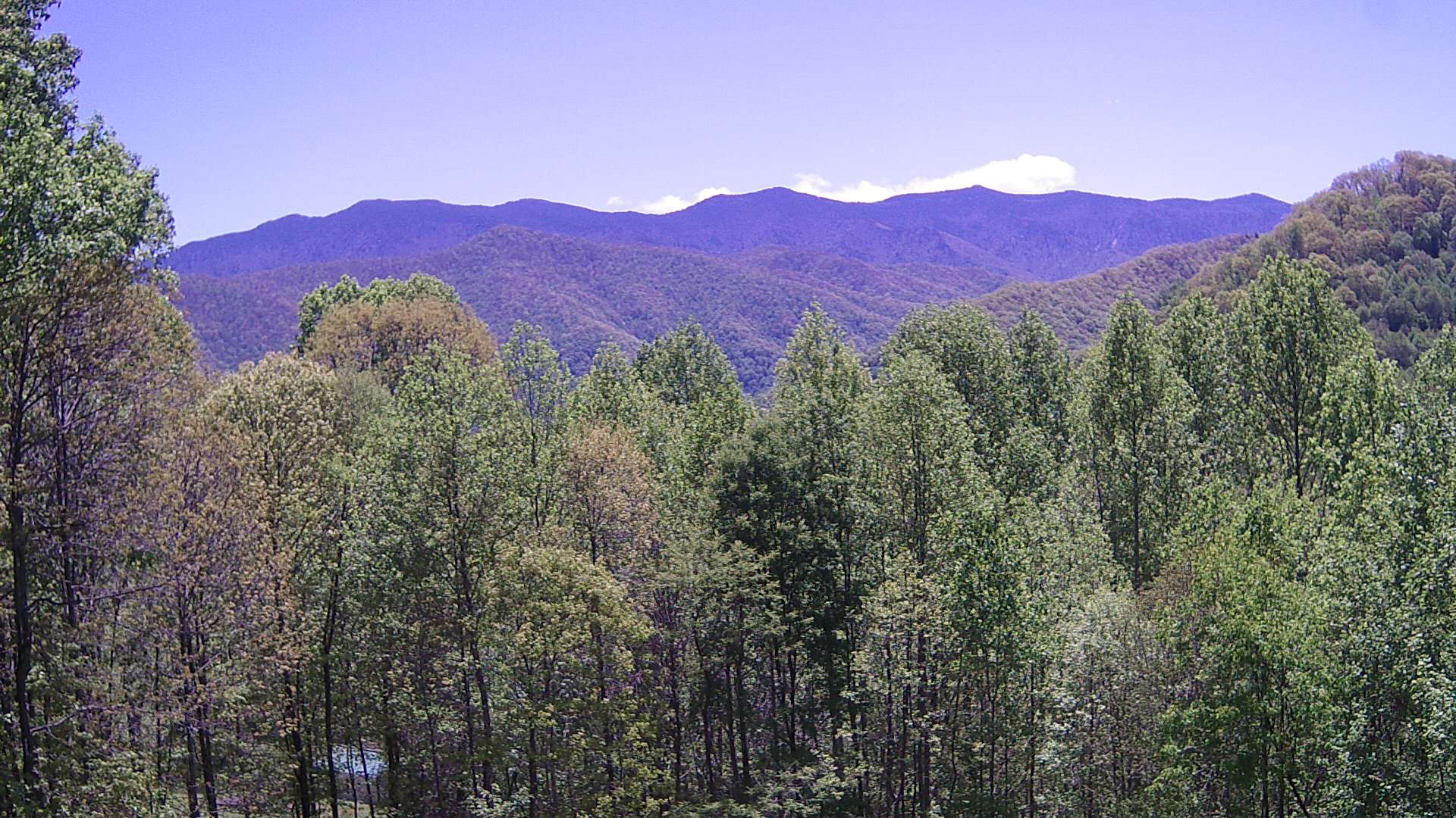 slideshow image