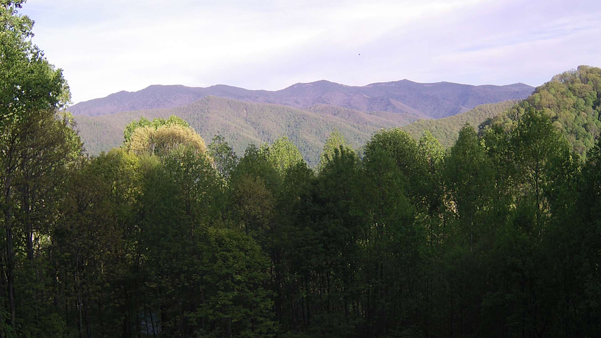 click for next image... slideshow image