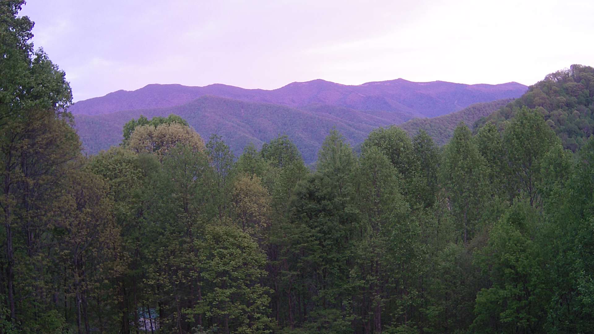 click for next image... slideshow image