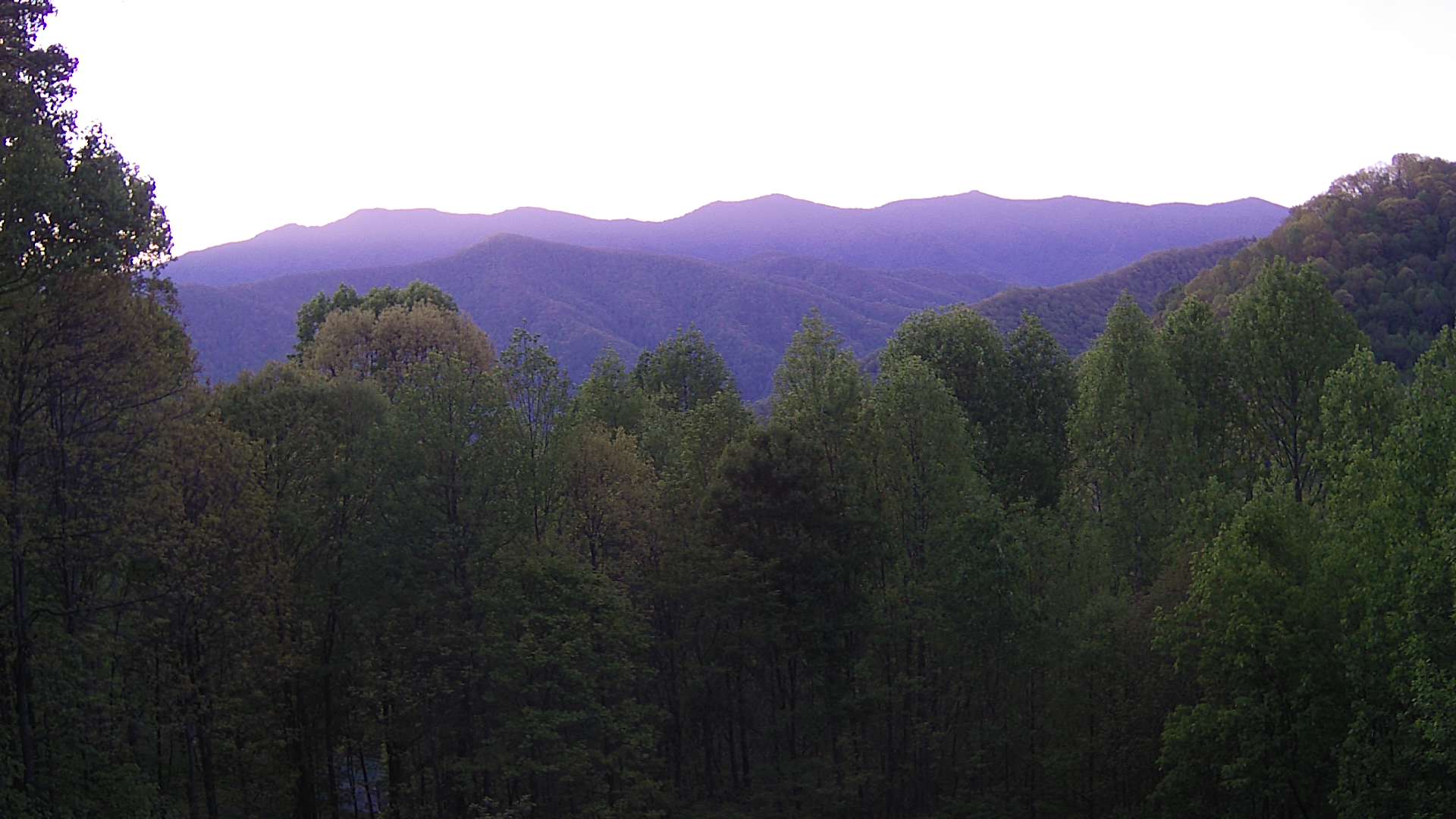 click for next image... slideshow image