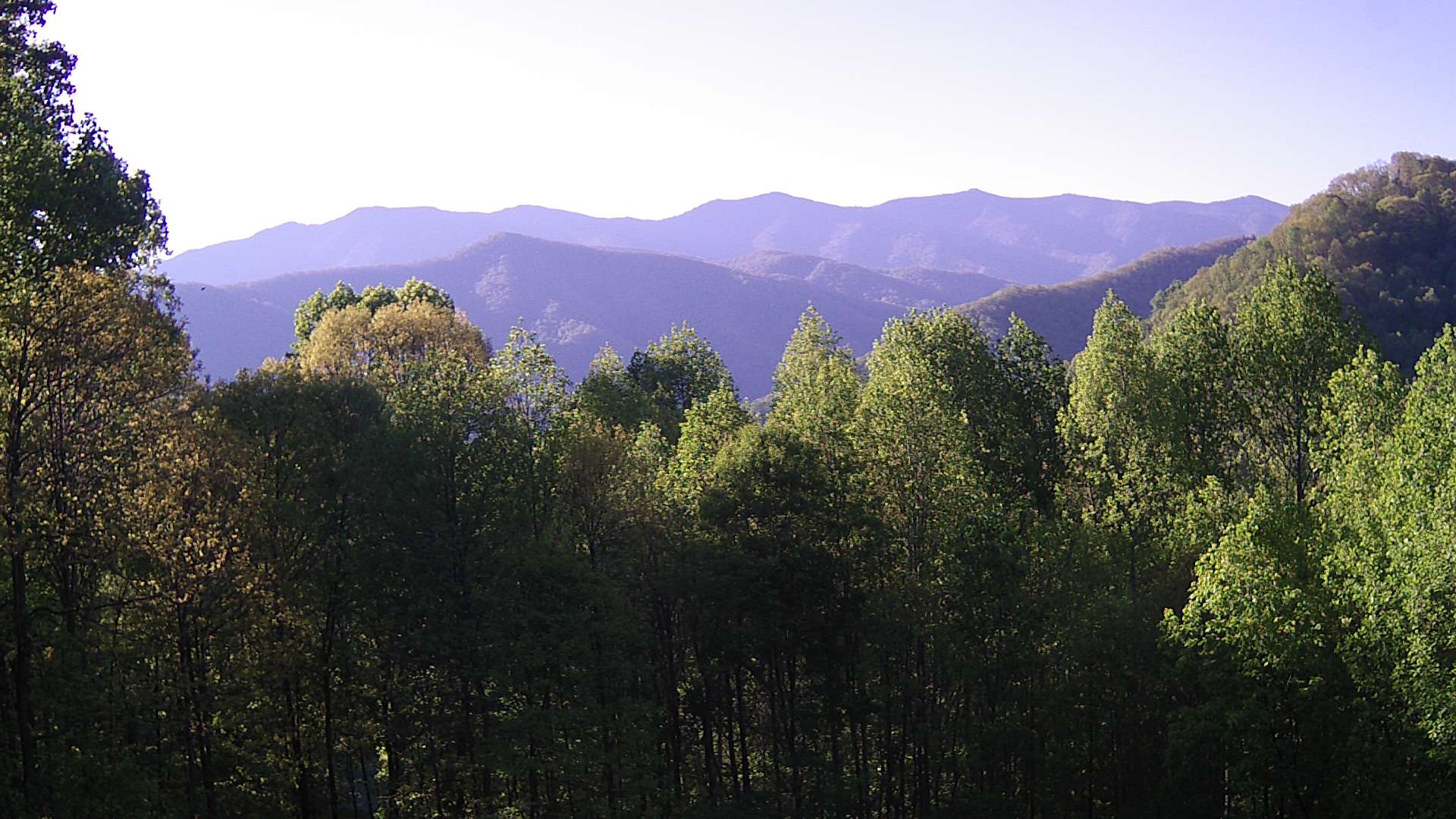 click for next image... slideshow image