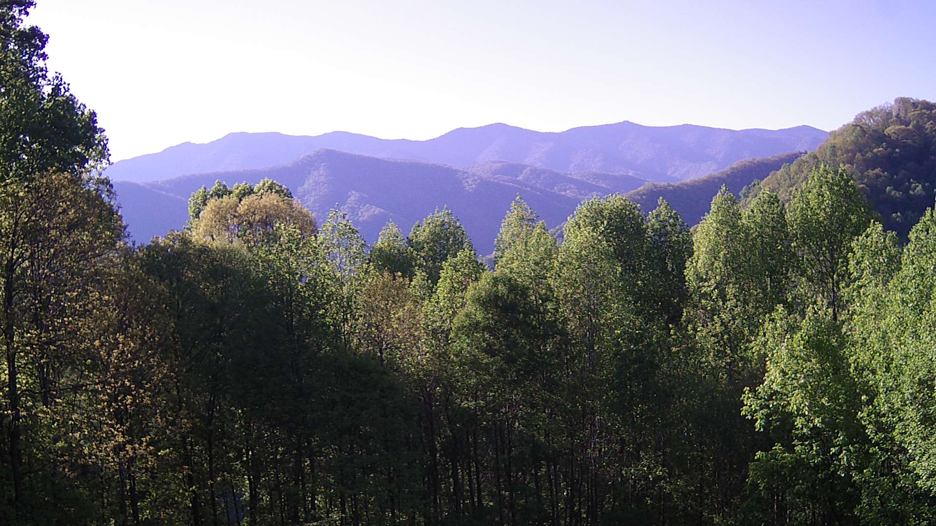 click for next image... slideshow image