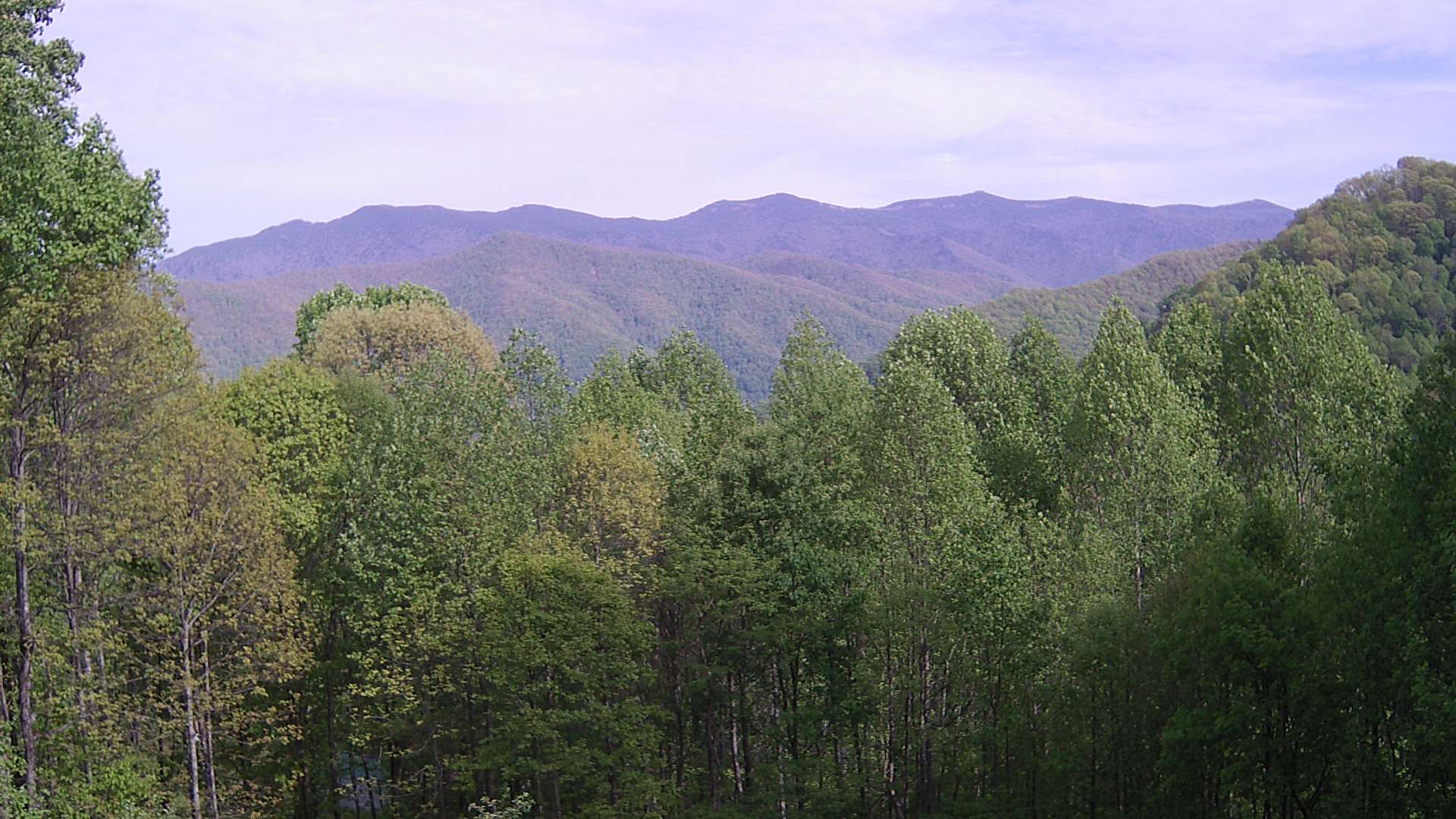 click for next image... slideshow image