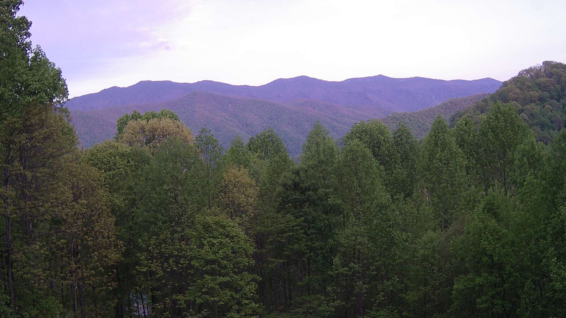 click for next image... slideshow image