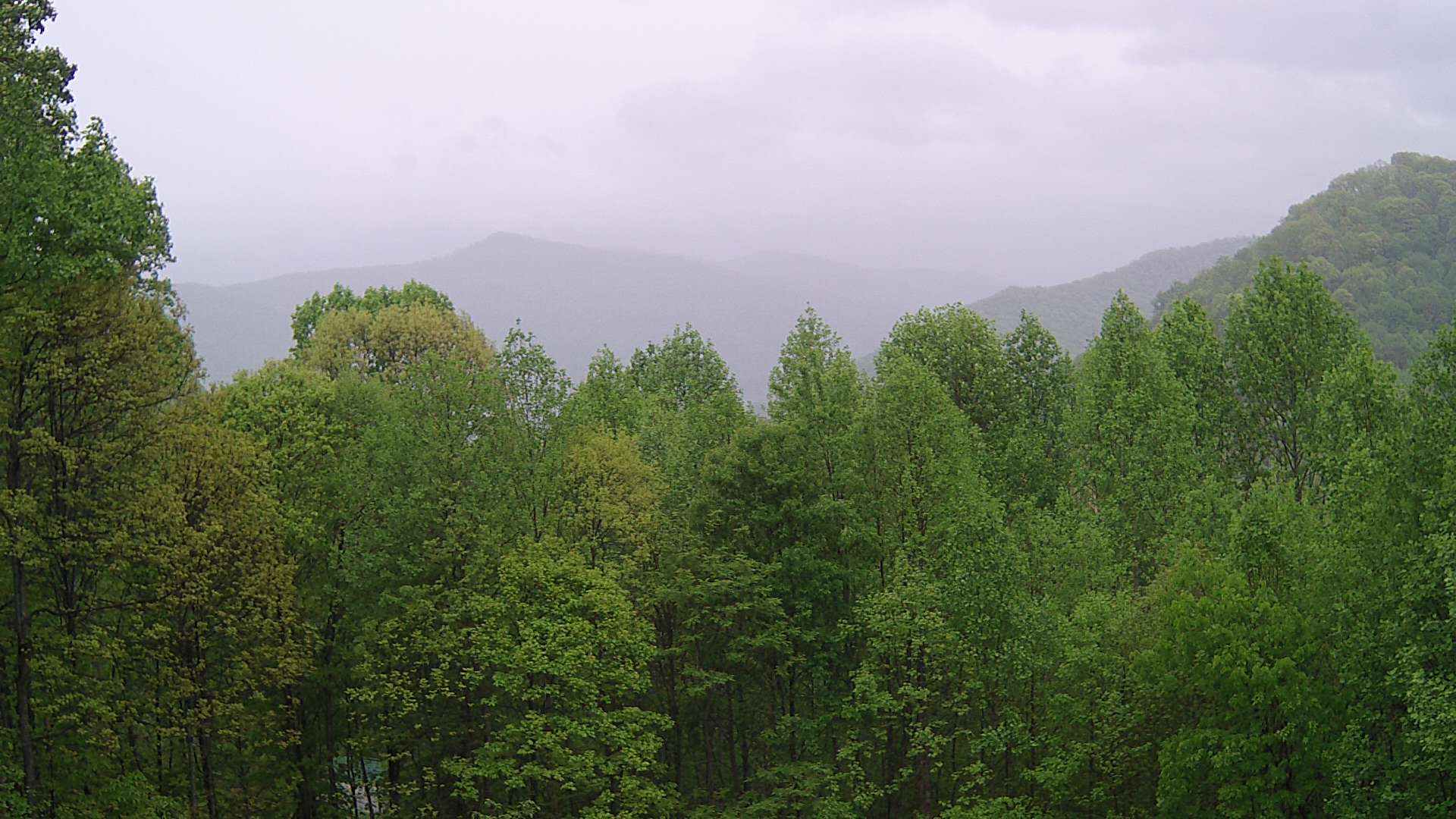 click for next image... slideshow image