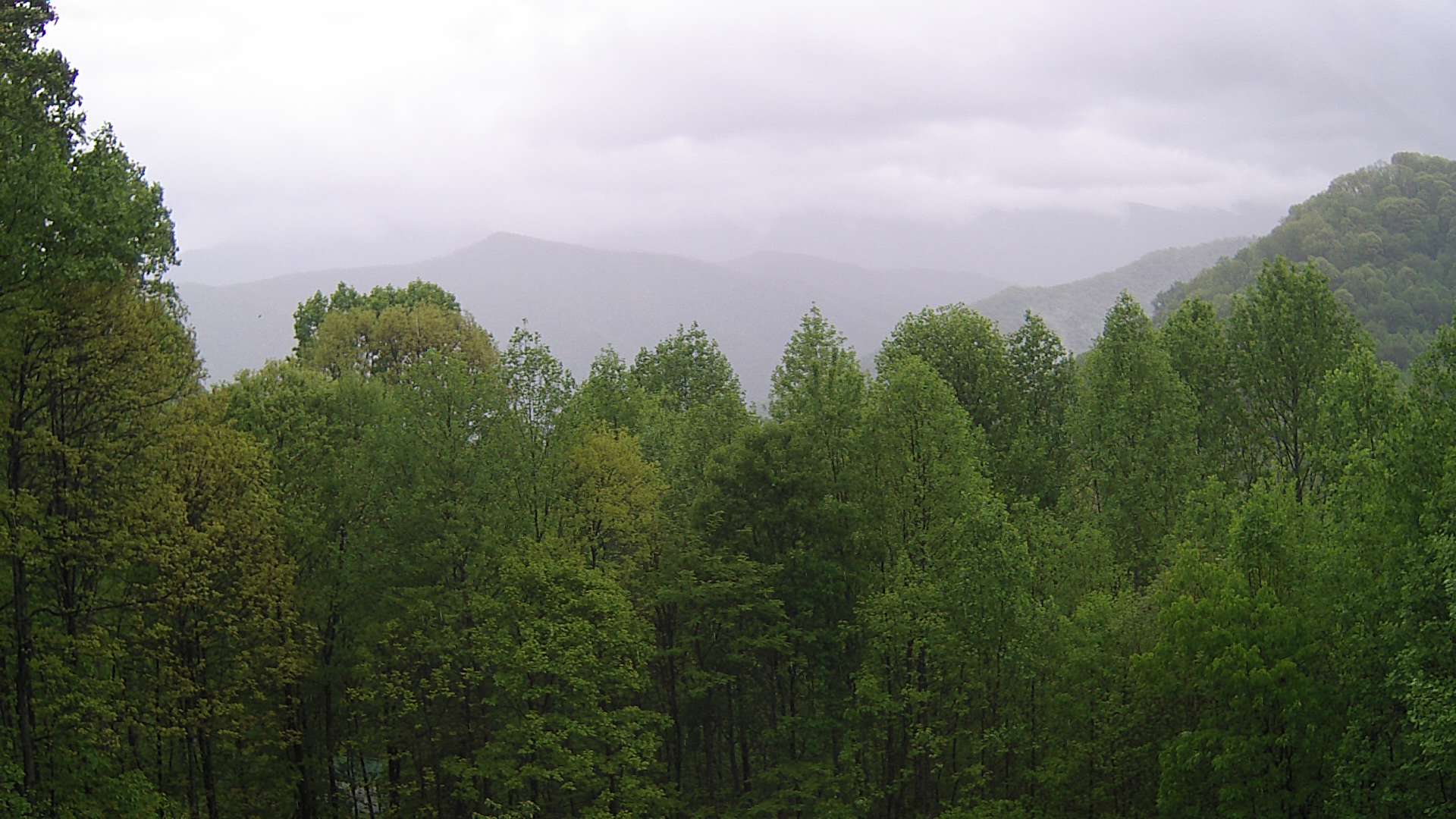 click for next image... slideshow image