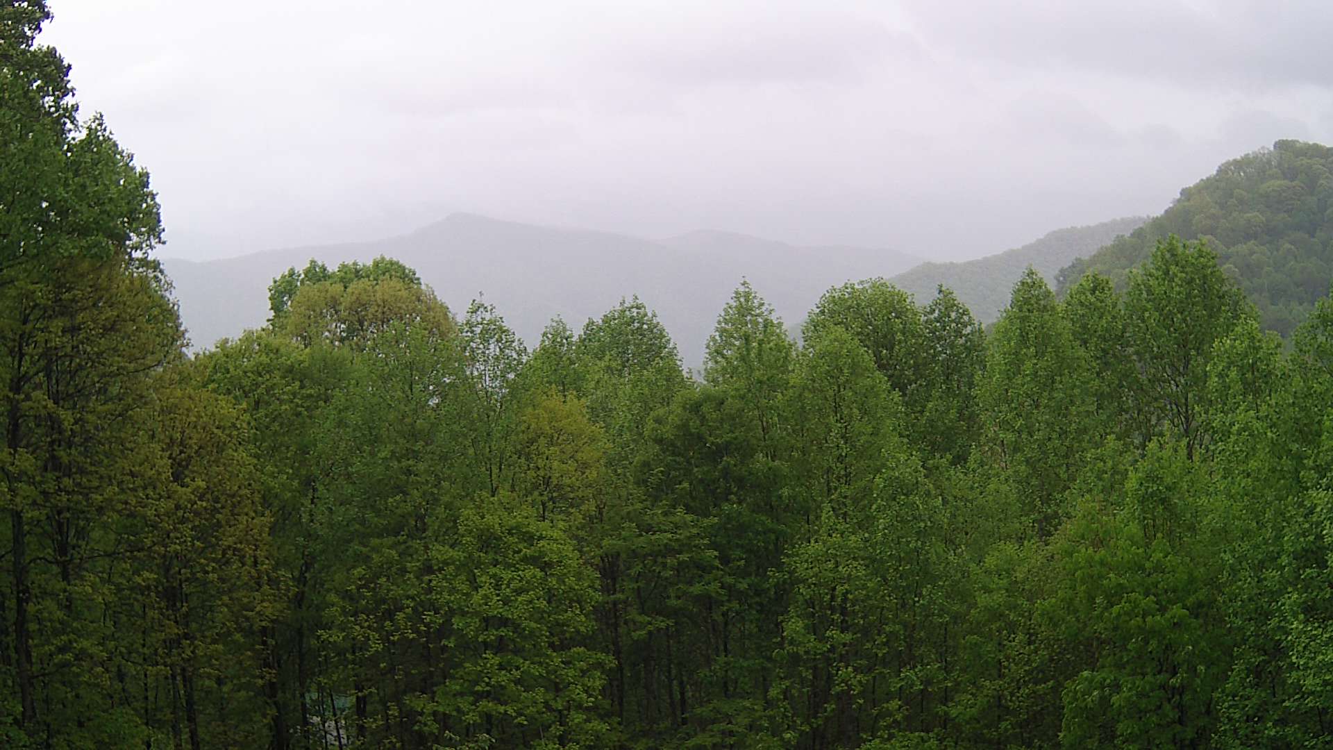 click for next image... slideshow image