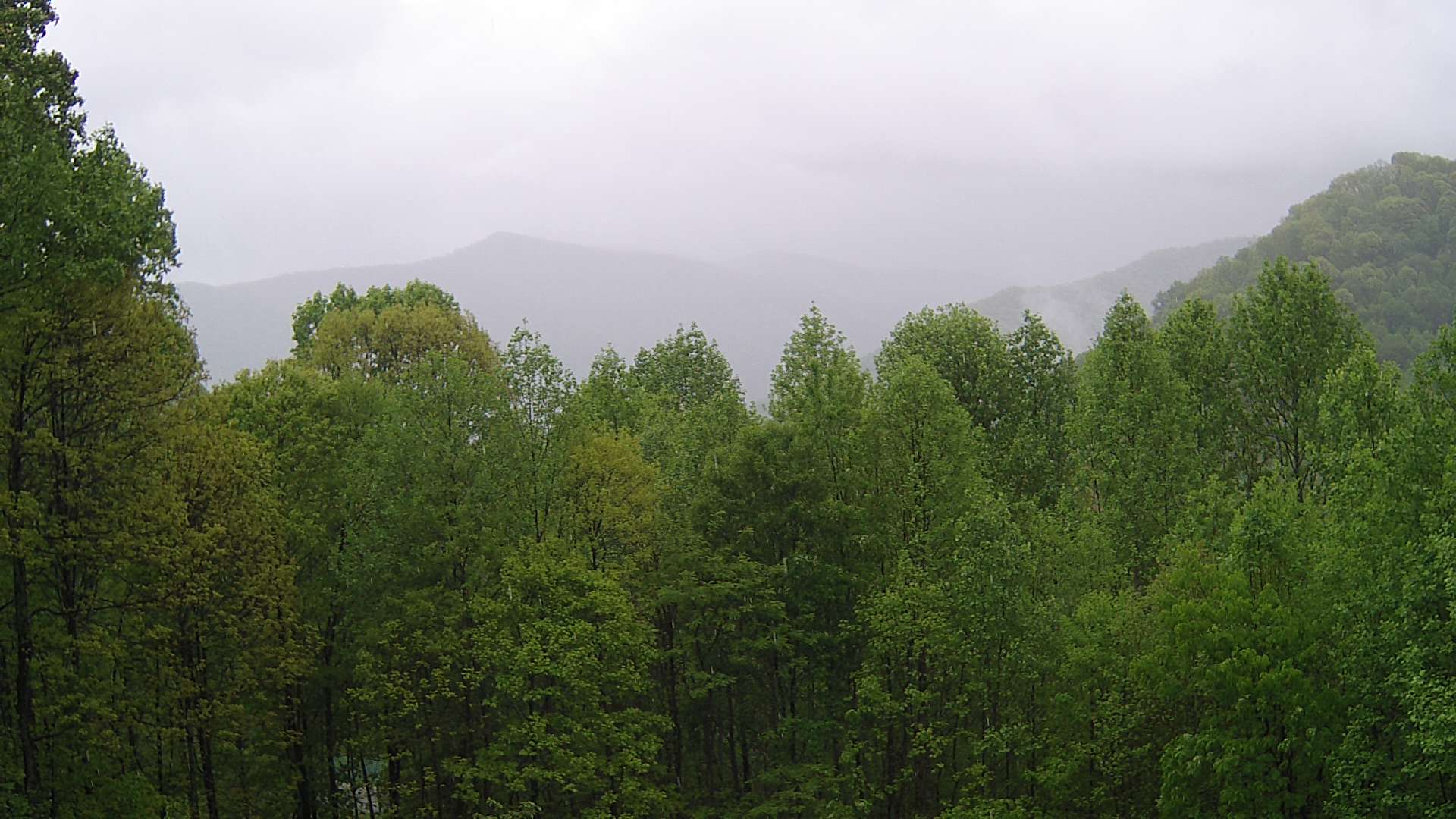 click for next image... slideshow image
