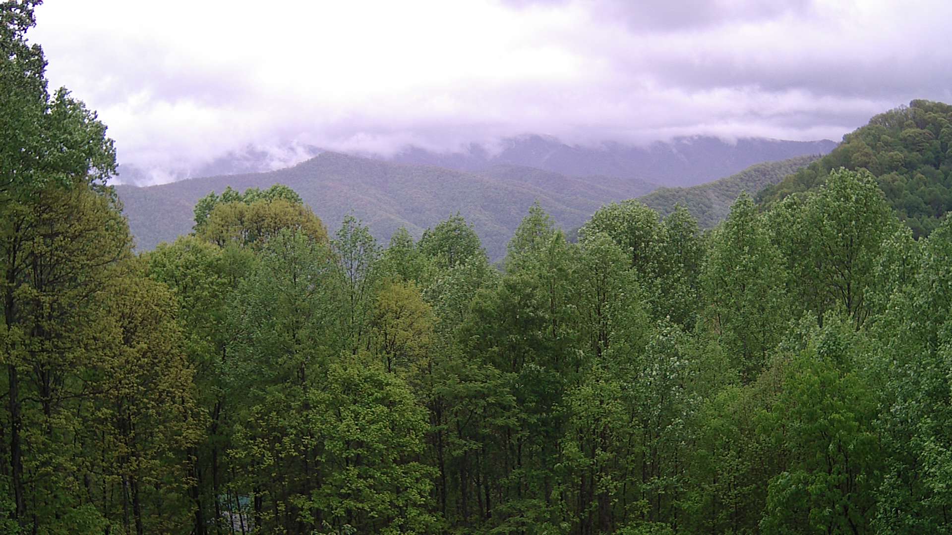 click for next image... slideshow image