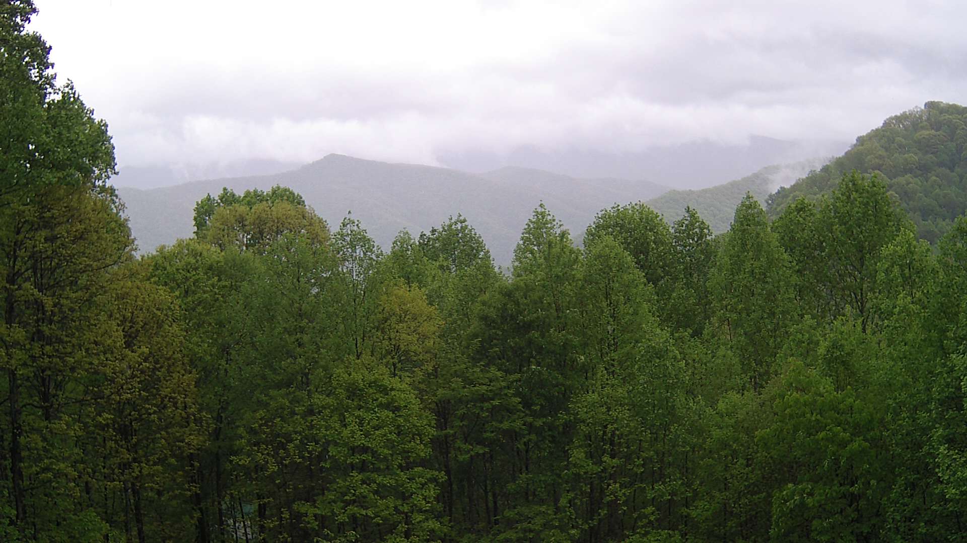 click for next image... slideshow image