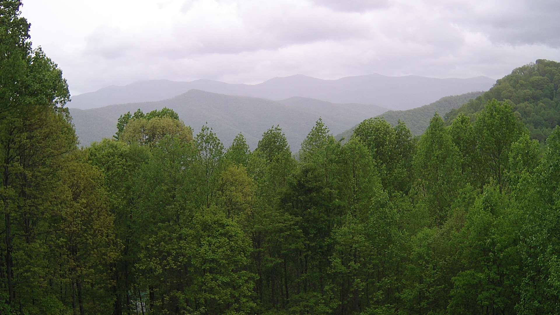 click for next image... slideshow image