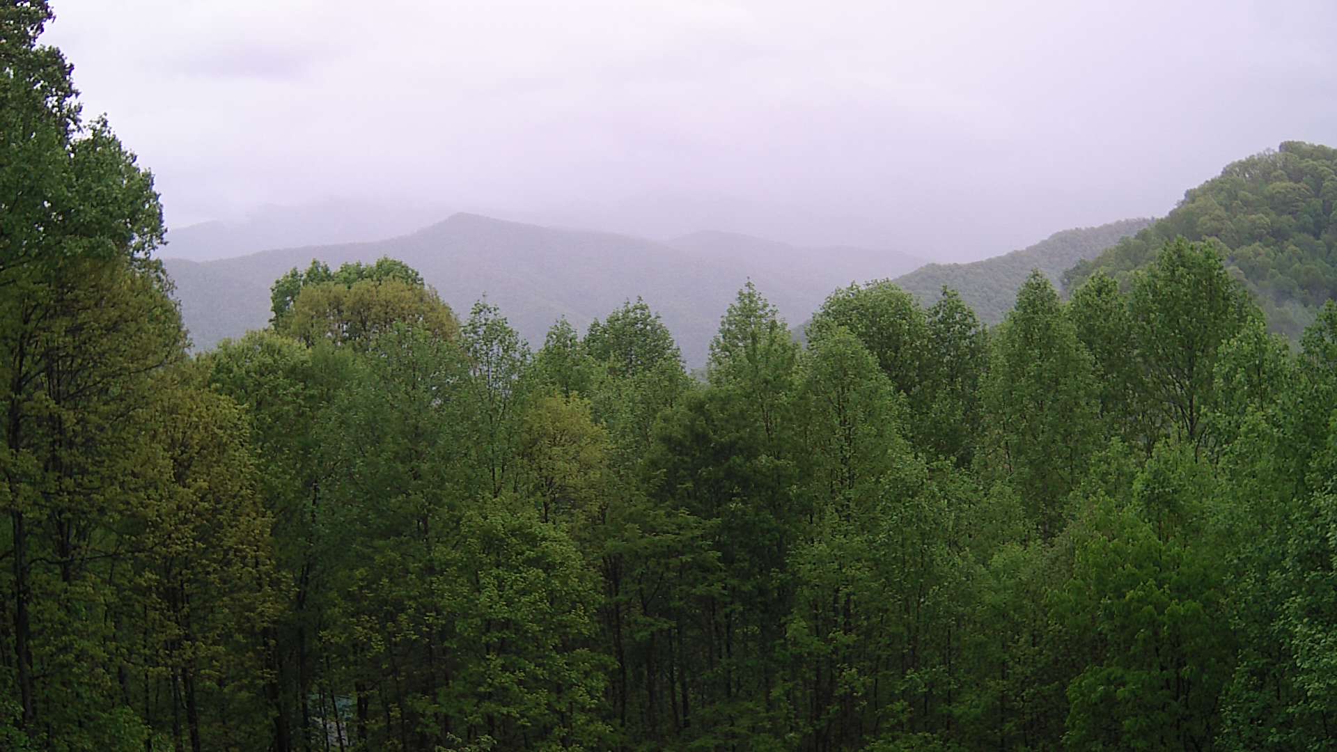 click for next image... slideshow image