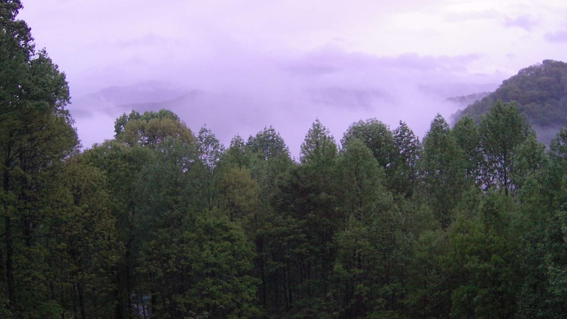 click for next image... slideshow image