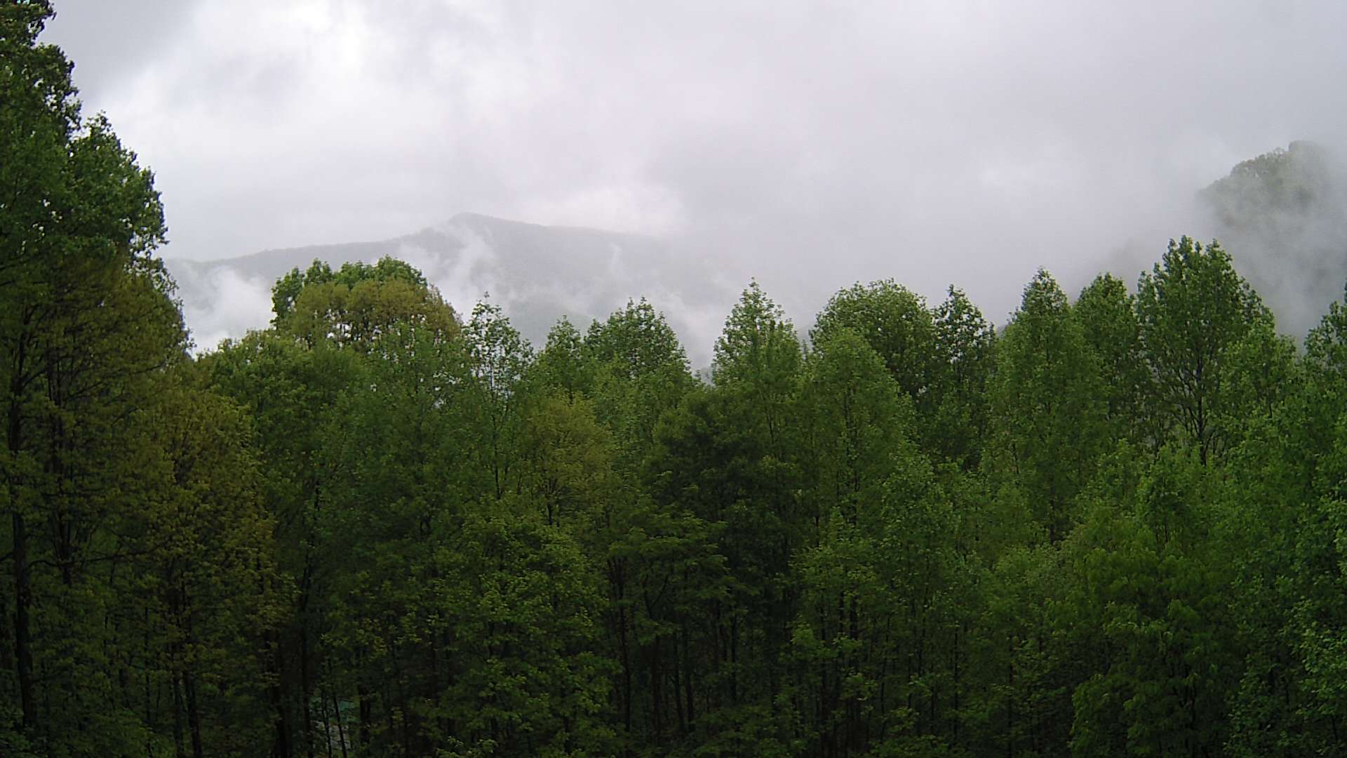 click for next image... slideshow image