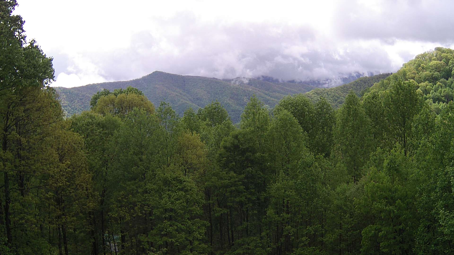 click for next image... slideshow image