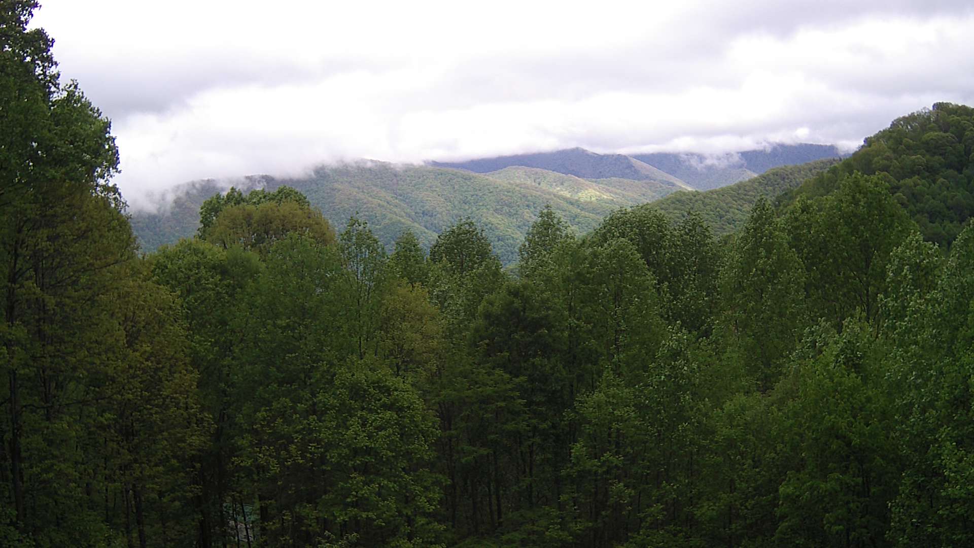 click for next image... slideshow image