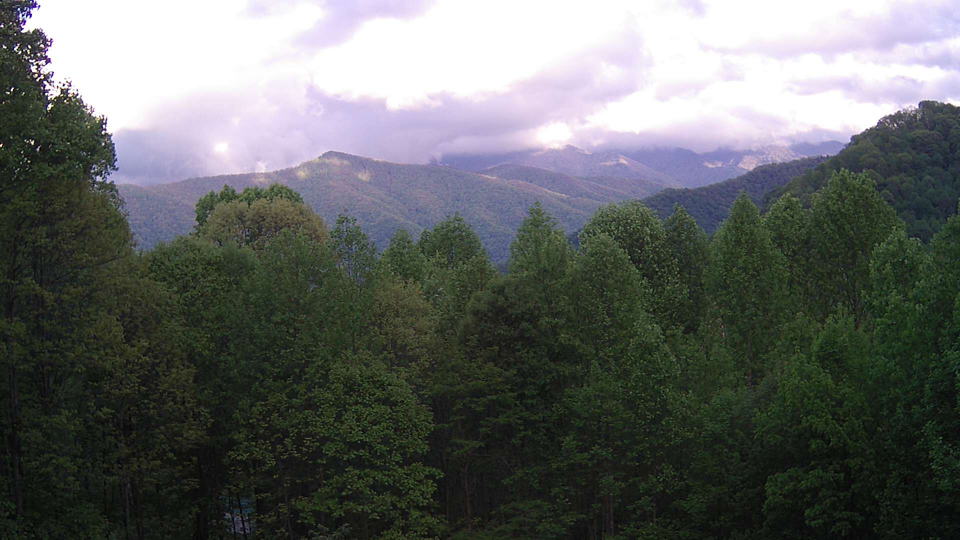 click for next image... slideshow image