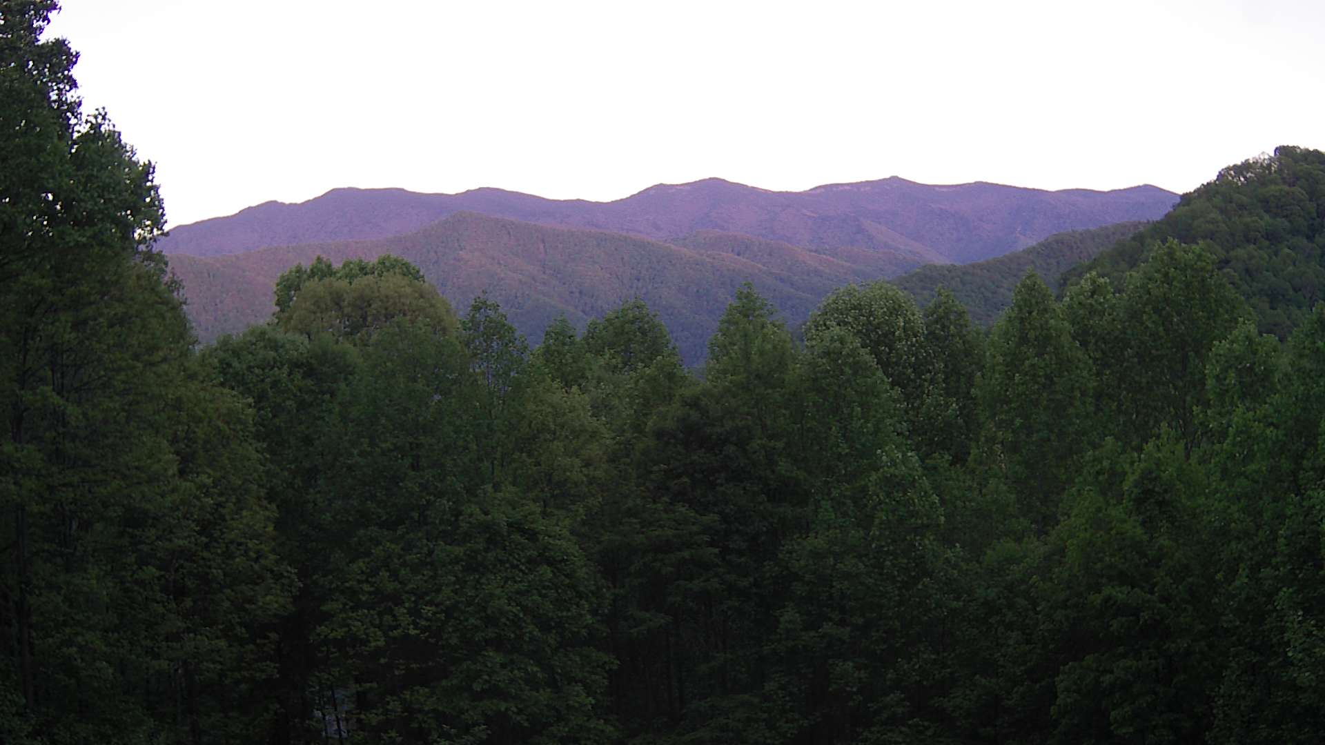 click for next image... slideshow image