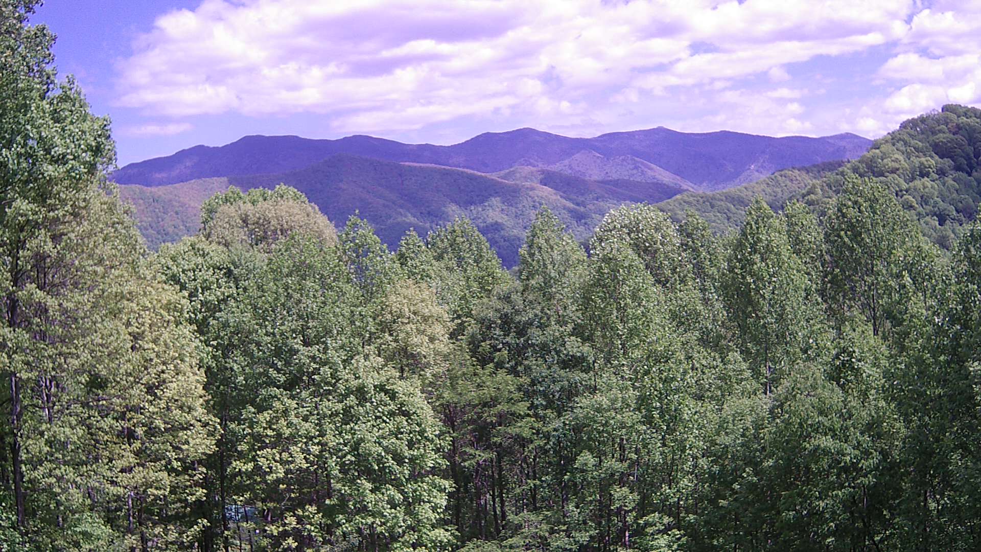 slideshow image