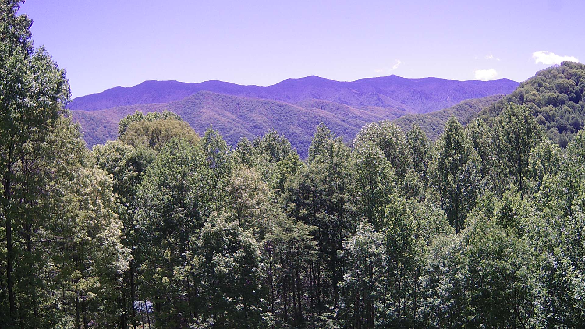 slideshow image