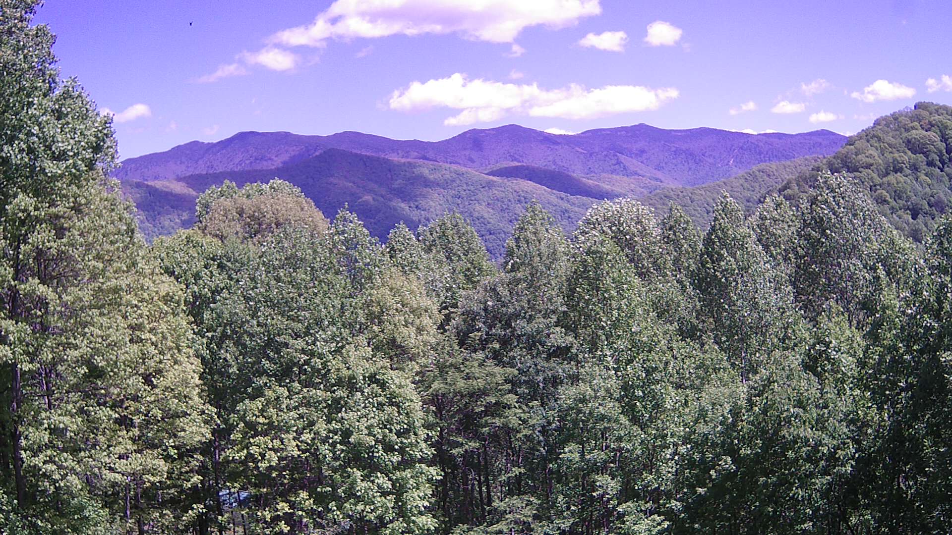 slideshow image