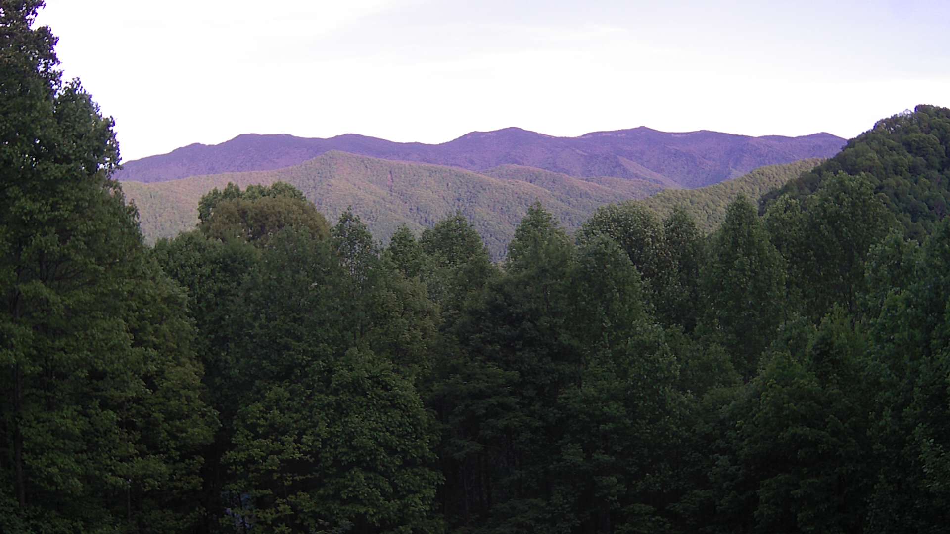 click for next image... slideshow image