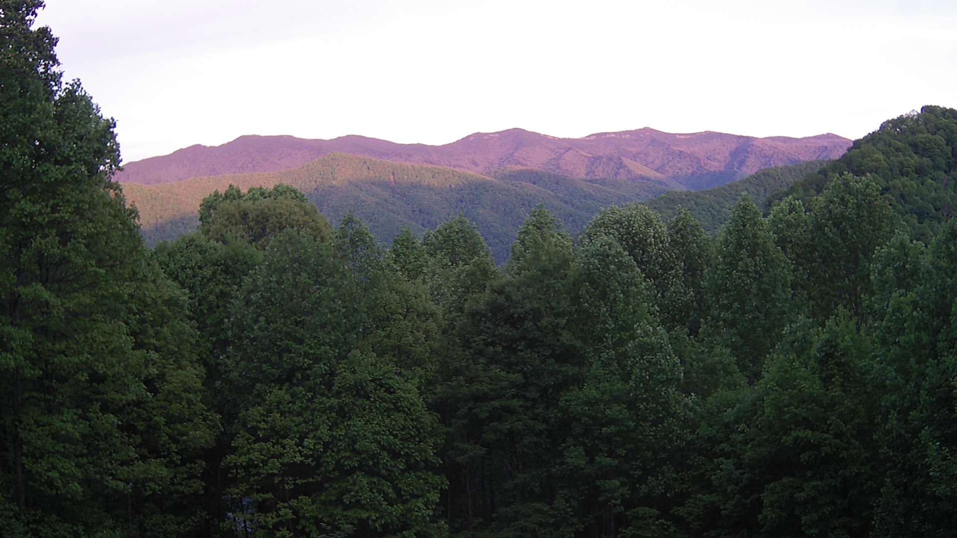 click for next image... slideshow image