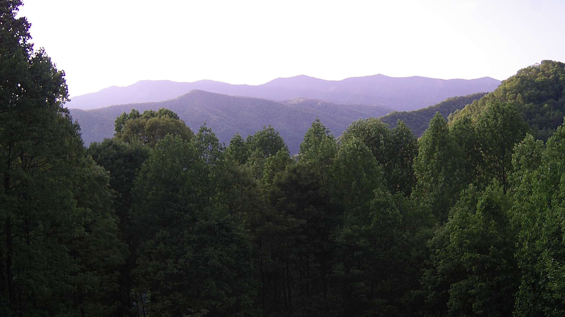 click for next image... slideshow image